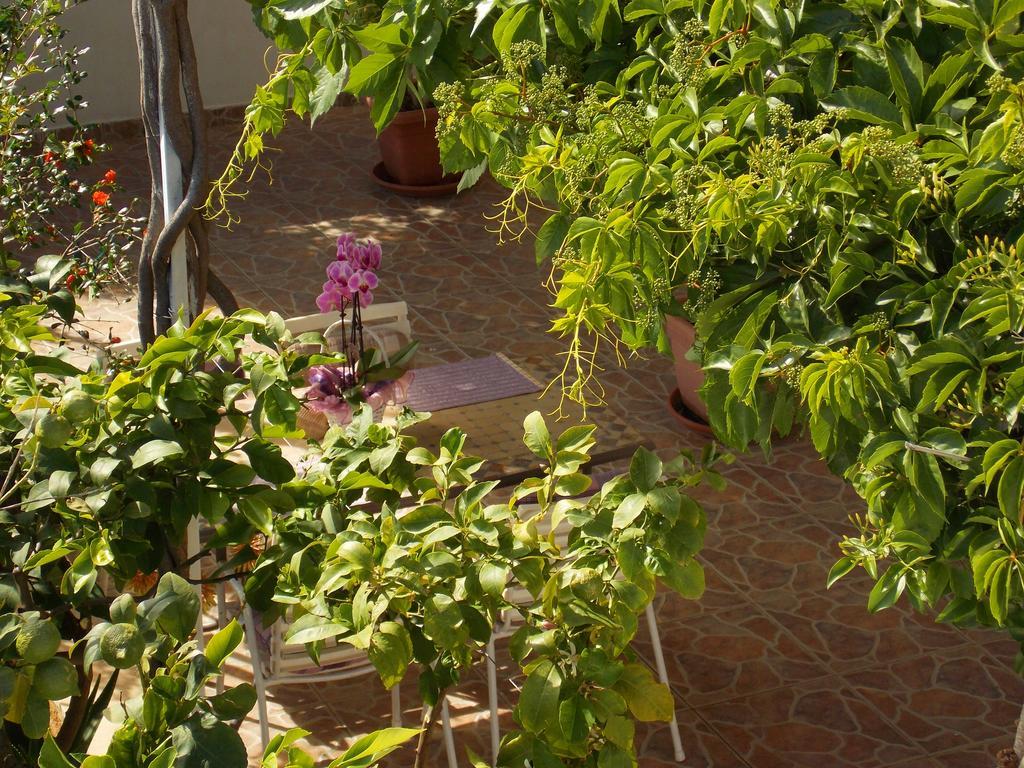 Apartmani Niki Hvar هفار المظهر الخارجي الصورة